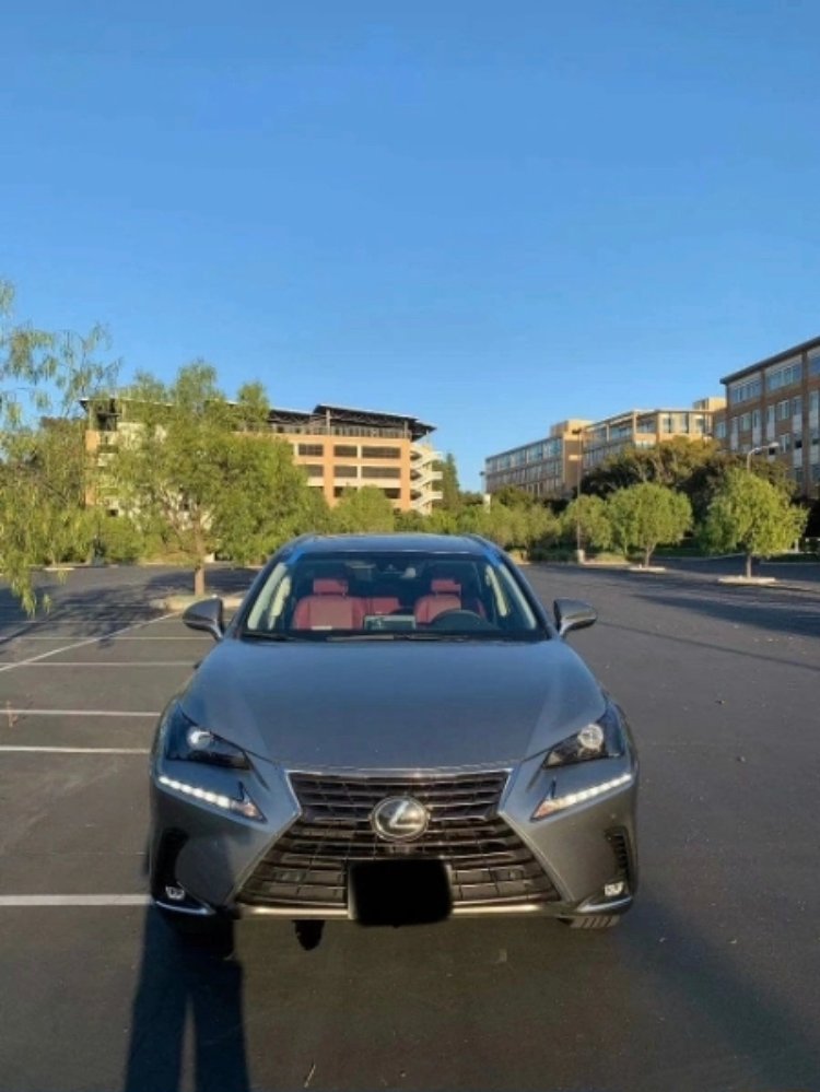 2019 Lexus NX 300 Luxury