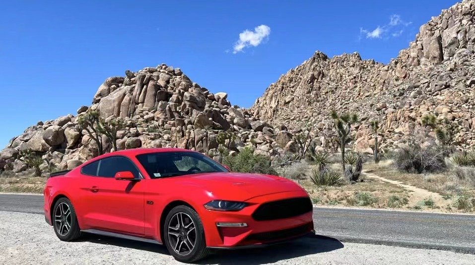 2019 Ford Mustang GT Deluxe